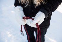 Mid section of female musher holding harness for sledge dogs on a snowy landscape — Stock Photo