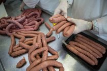 Mãos de açougueiros embalando salsichas cruas na fábrica de carne — Fotografia de Stock