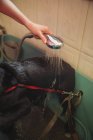 Крупный план женщины, принимающей душ с собакой в ванной в собачьем центре — стоковое фото