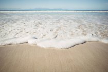 Крупним планом морський водяний серфінг на піщаному пляжі — стокове фото