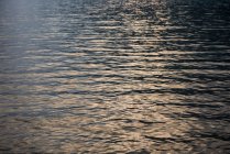 Vue panoramique de l'eau claire de la rivière avec réflexion de la lumière du soleil au crépuscule — Photo de stock