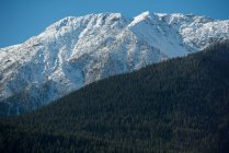 Majestuosa vista de hermosas montañas cubiertas de nieve y bosque verde - foto de stock