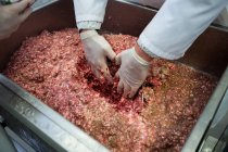 Close-up of hands of butcher mixing minced meat — Stock Photo