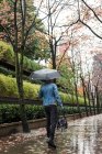 Vista posteriore dell'uomo con borsa e ombrello passeggiando sulla passerella pedonale — Foto stock