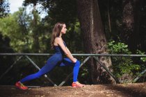 Женщина делает упражнения на растяжку на мосту в лесу — стоковое фото