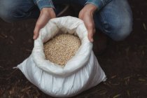 Hand holding a sack of barley to prepare beer at home brewery — Stock Photo