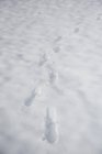 Huellas en el suelo cubierto de nieve, primer plano - foto de stock