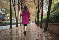 Vista posteriore di una donna d'affari con diario che cammina su passerella pedonale bagnata con alberi — Foto stock