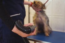 Donna che utilizza asciugatrice sul cane dopo il lavaggio al centro di cura del cane — Foto stock