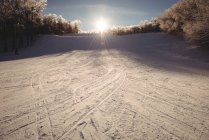 Snowy landscape covered with ski tracks during winter — Stock Photo