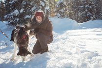 Улыбающийся мушер привязывает хаски к саням зимой на снежном ландшафте — стоковое фото