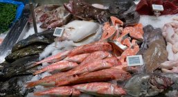 Varios tipos de peces en el mostrador de pescado en el supermercado - foto de stock
