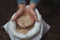 Close-up of hands holding a sack of barley to prepare beer at home brewery — Stock Photo
