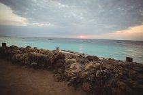 Vue panoramique sur la belle mer et le rivage rocheux au crépuscule — Photo de stock