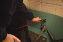 Sezione centrale di donna che tiene il cane e il cavo di collegamento su gancio in vasca da bagno — Foto stock