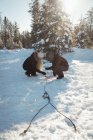Мушеры завязывают санки зимой на снежном ландшафте — стоковое фото