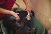 Nahaufnahme einer Frau, die einen Hund in der Badewanne einer Hundeschule duscht — Stockfoto