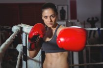 Portrait of confident female boxer performing boxing stance in boxing ring — Stock Photo