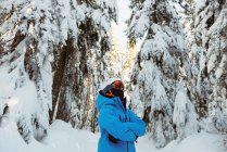 Skieur debout les bras croisés sur de belles montagnes enneigées — Photo de stock