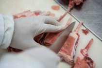 Крупним планом м'ясорубка ріже м'ясо на м'ясному заводі — стокове фото