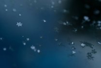 Close-up of snowflakes on surface of lake water during winter — Stock Photo