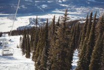 Порожній гірськолижний витяг і соснові дерева на гірськолижному курорті взимку — стокове фото