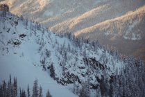 Вид на заснеженные горы зимой — стоковое фото
