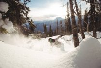 Людина катається на сноуборді на горі проти дерев — стокове фото
