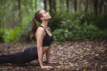 Woman performing stretching exercise in forest — Stock Photo