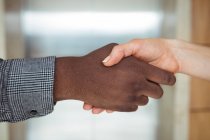 Dirigeants d'entreprises multiraciales serrant la main, gros plan — Photo de stock