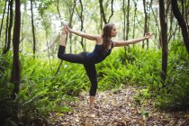 Woman performing standing bow pose yoga in forest on a sunny day — Stock Photo