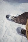 Close up of skier shoe on snow covered landscape — Stock Photo