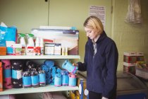 Жінка, вибираючи рушники махрові в цеху собака догляд центр — Stock Photo