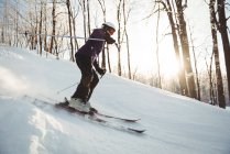 Лижник, катання на лижах на снігу покриті краєвид взимку — Stock Photo