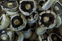 Крупним планом сухі гриби на столі — стокове фото