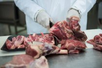 Primer plano de la carnicería que corta carne en la fábrica de carne - foto de stock