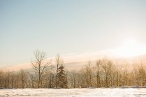 Vista del paisaje cubierto de nieve durante el invierno - foto de stock