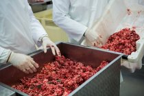 Macellai svuotano vassoio con carne macinata in fabbrica di carne — Foto stock