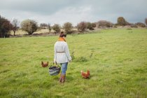 Vista posteriore della donna con cesto in piedi in campo verde con galline — Foto stock