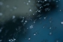 Close-up de flocos de neve na superfície da água do lago durante o inverno — Fotografia de Stock