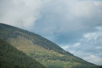 Vista panoramica della bellissima collina sempreverde contro cielo e nuvole — Foto stock