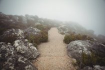 Nahaufnahme eines Weges, der durch Felsen am Berg führt — Stockfoto