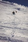 Grupo de esquiadores caminhando em alpes de neve com esquis durante o inverno — Fotografia de Stock