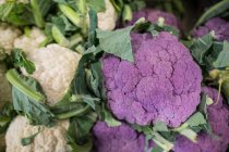 Close-up of fresh cauliflower — Stock Photo