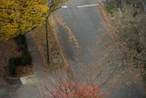 Scenic view of street during autumn — Stock Photo