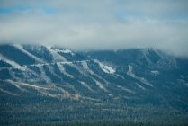 Scène hivernale de belles montagnes enneigées et forêt — Photo de stock