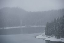 Majestätischer Blick auf Fluss und Wald im Winter — Stockfoto