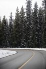 Asphalt road through snowy forest — Stock Photo