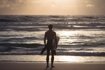 Vista trasera de un hombre llevando tabla de surf de pie en la playa al atardecer - foto de stock