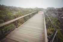 Vista panoramica del ponte pedonale in legno nella foresta — Foto stock
